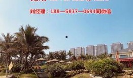 湛江富丽华最新爆料,揭秘项目背后的惊人真相