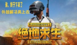吃鸡商城爆料视频大全最新,揭秘热门游戏周边与独家优惠
