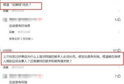 二八最新爆料消息视频播放,揭秘视频播放背后的惊人真相