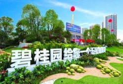 丹江碧桂园爆料最新消息,揭秘项目进展与未来规划